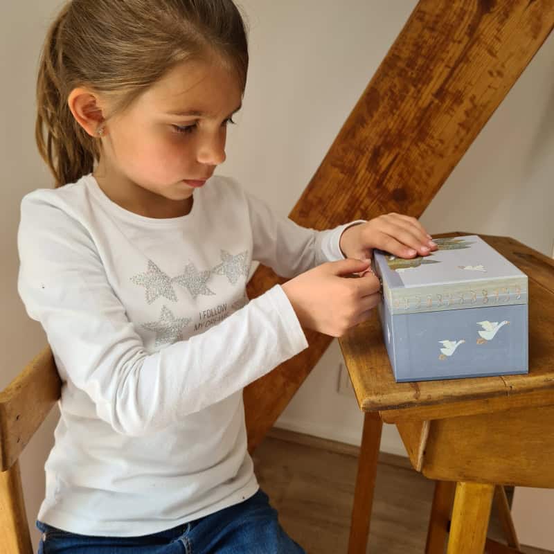Caixa de Música Countryside – Egmont Toys – Egmont Toys