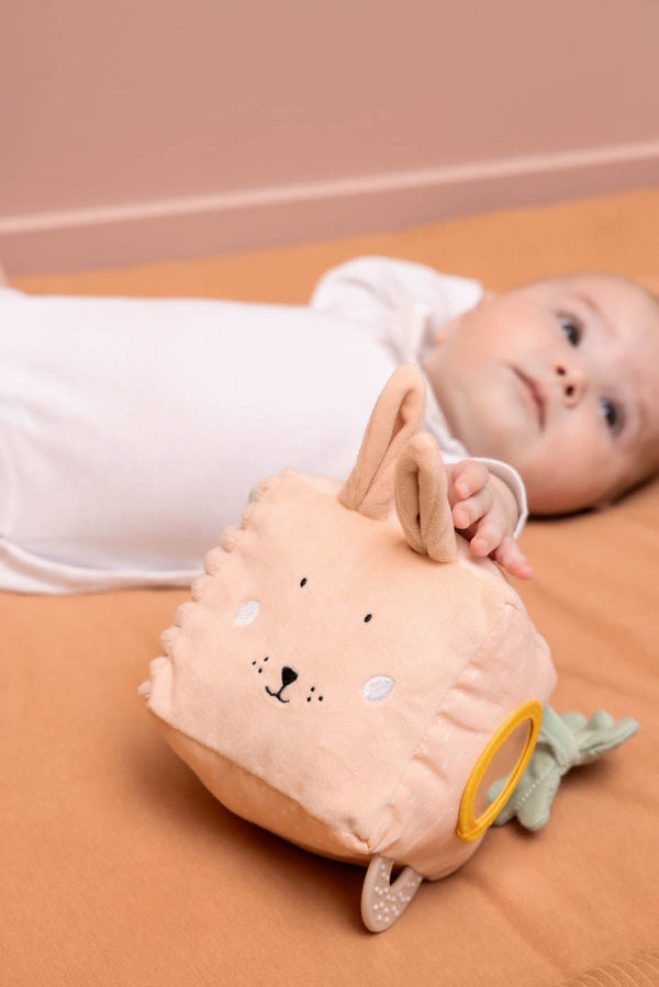 Cubo de Atividades - Mrs. Rabbit da Trixie - vista 4