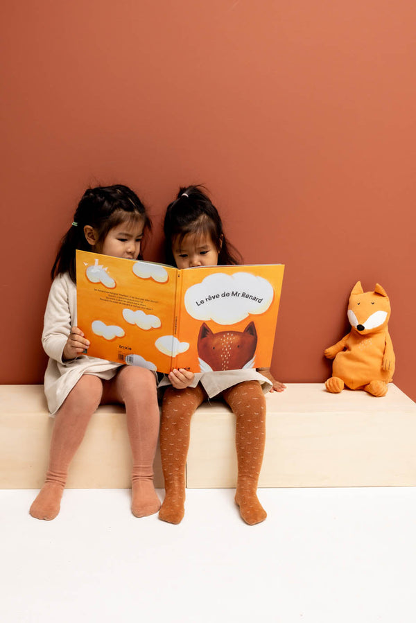 Peluche Grande - Mr. Fox da Trixie - vista 4