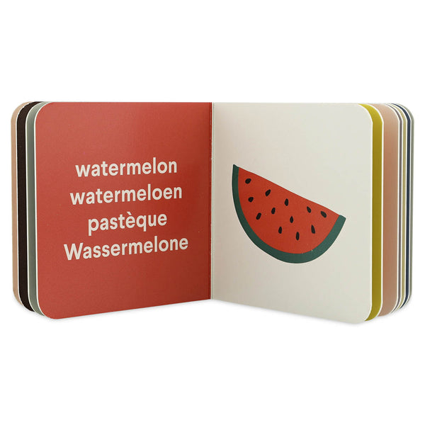 Mini Biblioteca - Roupas, Frutas, Veículos, Instrumento da Trixie - vista 4