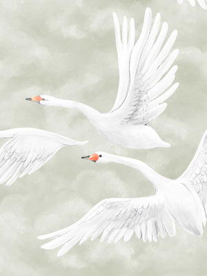 Cisnes nas Nuvens - Verde – detalhe do padrão | Boråstapeter