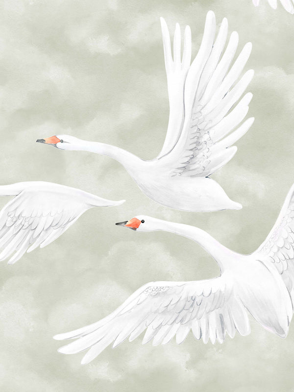 Cisnes nas Nuvens - Verde – detalhe do padrão | Boråstapeter