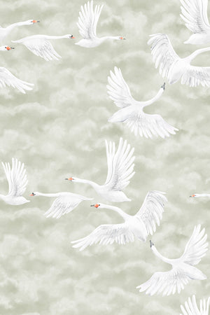 Cisnes nas Nuvens - Verde – padrão completo | Boråstapeter