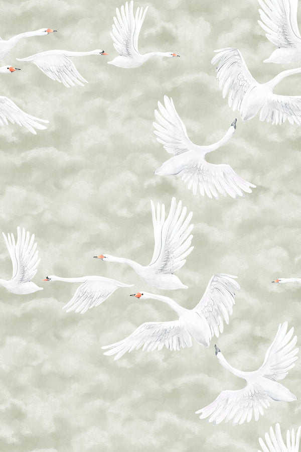 Cisnes nas Nuvens - Verde – padrão completo | Boråstapeter