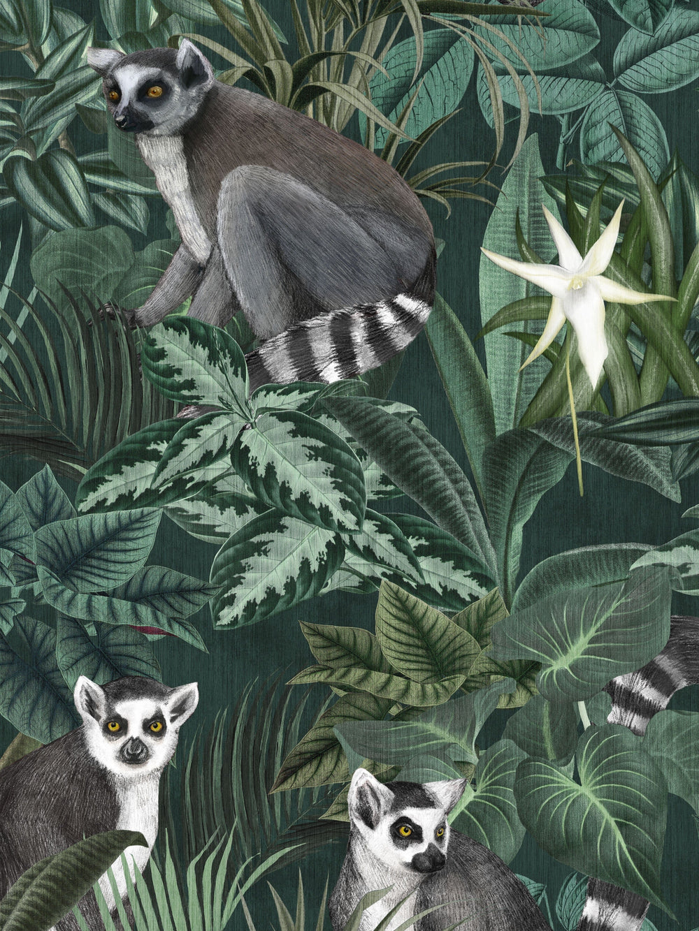 Mural infantil Madagáscar Verde Boråstapeter - KidsR