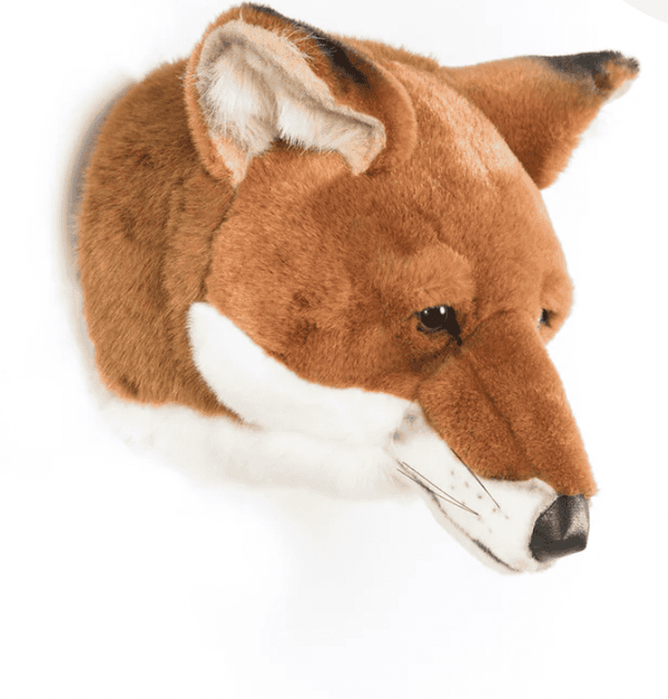 A Raposa Louis – Wild & Soft – imagem 2
