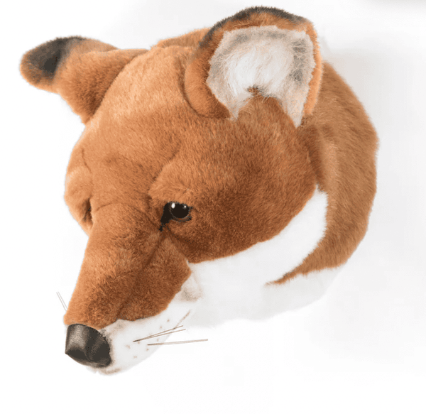 A Raposa Louis – Wild & Soft – imagem 3