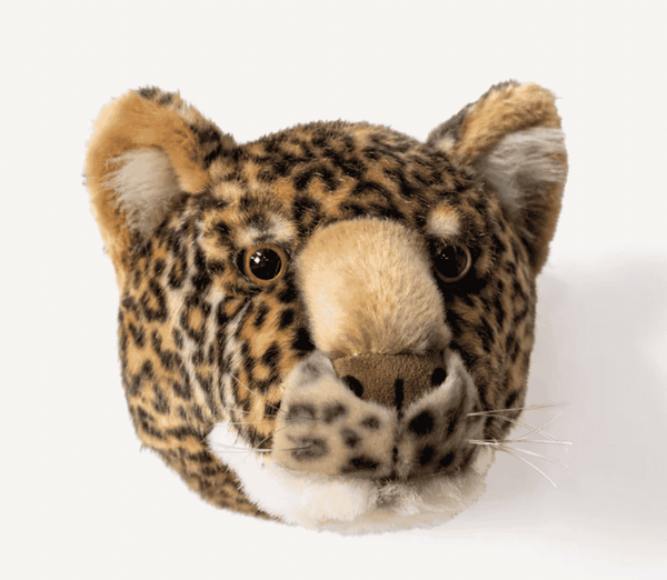 O Leopardo Charlie – Wild & Soft