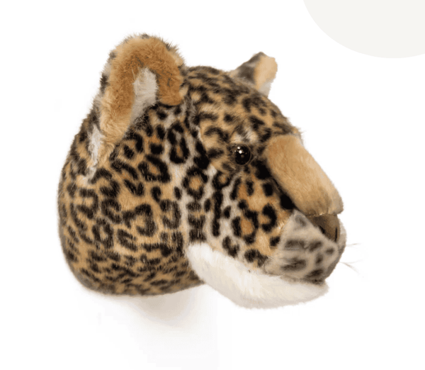 O Leopardo Charlie – Wild & Soft – imagem 3