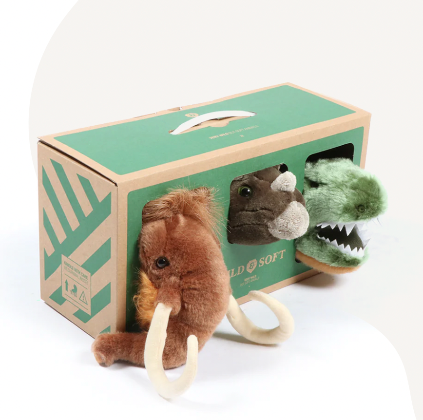 Caixa Pré-histórica – Wild & Soft
