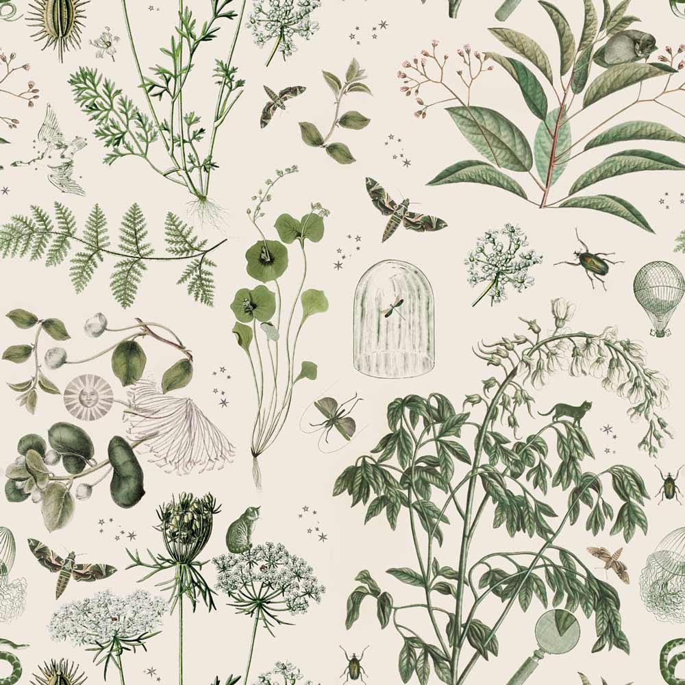 Papel de Parede Green Botanical Stories – Dekornik – imagem 1