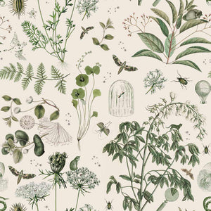 Papel de Parede Green Botanical Stories – Dekornik – imagem 1