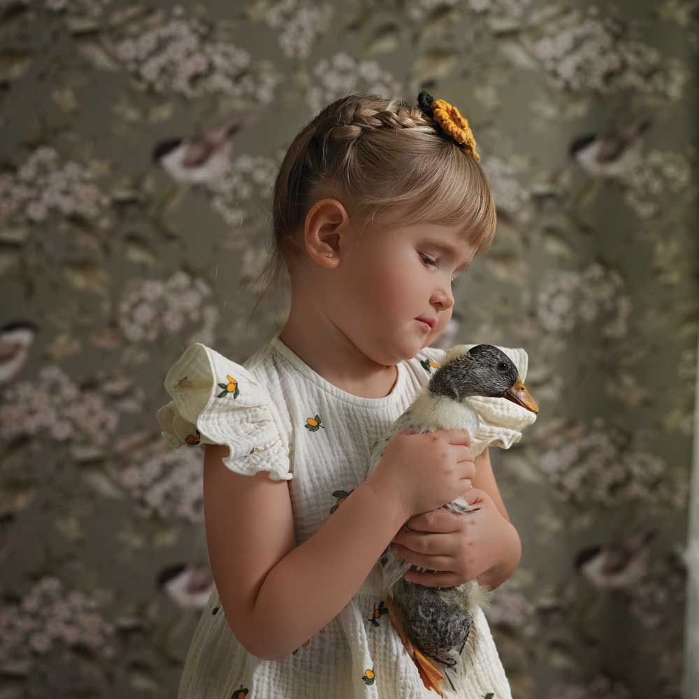 Papel de Parede Birds and Green Spring – Dekornik – imagem 1