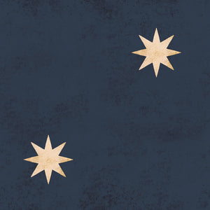 Papel de Parede Classy stars navy blue – Dekornik – imagem 2