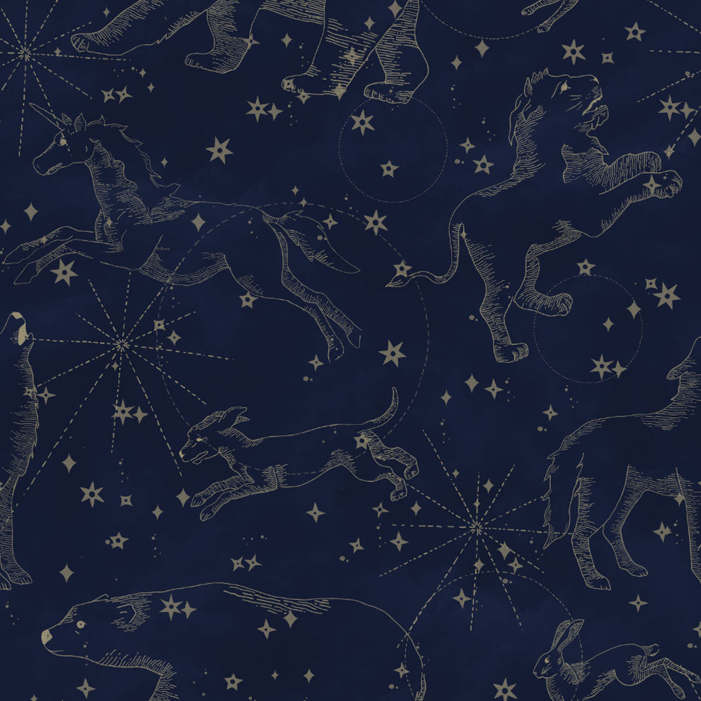 Papel de Parede Constellations dark – Dekornik – imagem 1