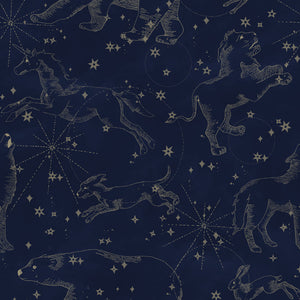Papel de Parede Constellations dark – Dekornik – imagem 1