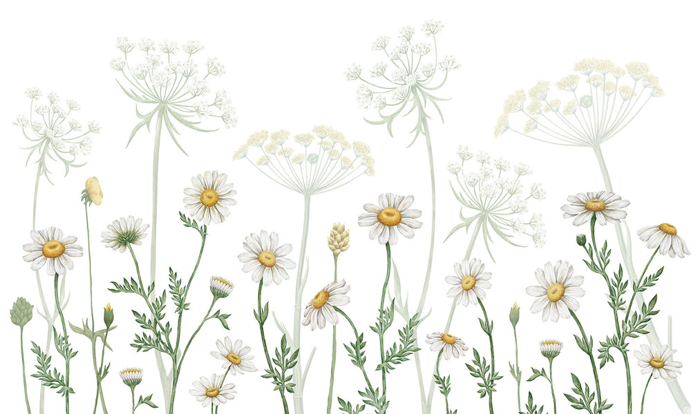 Mural Dazzling Daisies - White | Kikki Belle – Kikki Belle