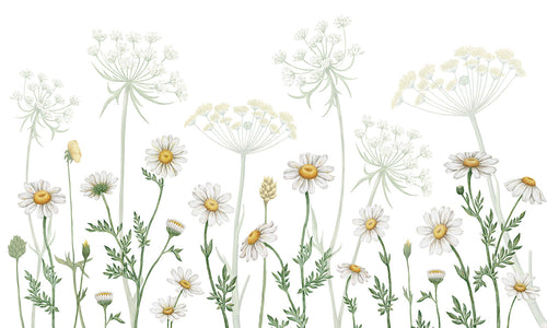 Mural Dazzling Daisies - White | Kikki Belle – Kikki Belle