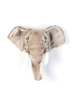 O Elefante George – Wild & Soft
