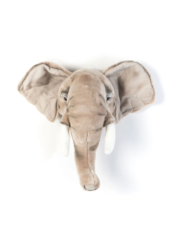 O Elefante George – Wild & Soft