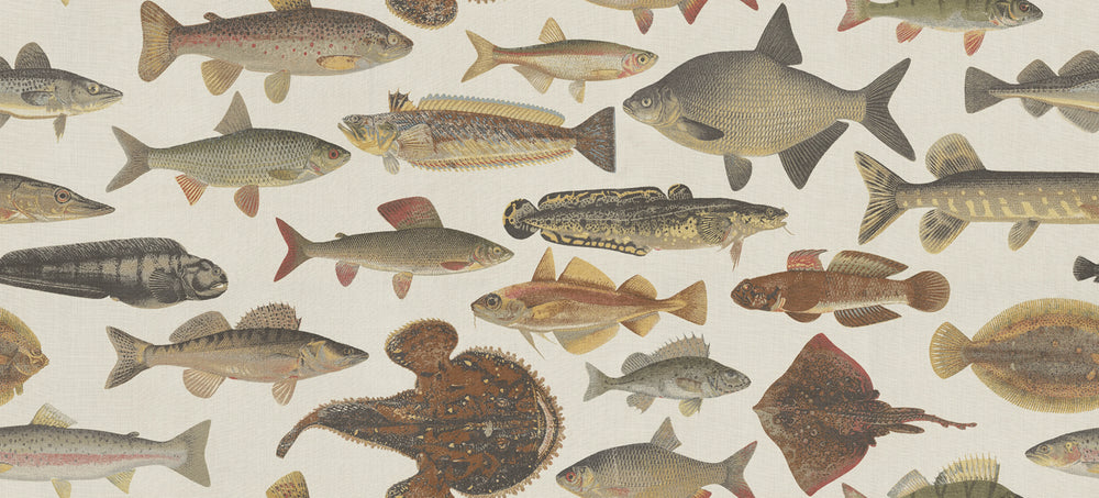 Mural Scandinavian Fish – Sandberg – ambiente 1