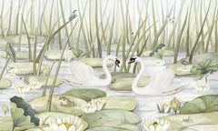 Mural Spectacular Swans | Kikki Belle – Kikki Belle