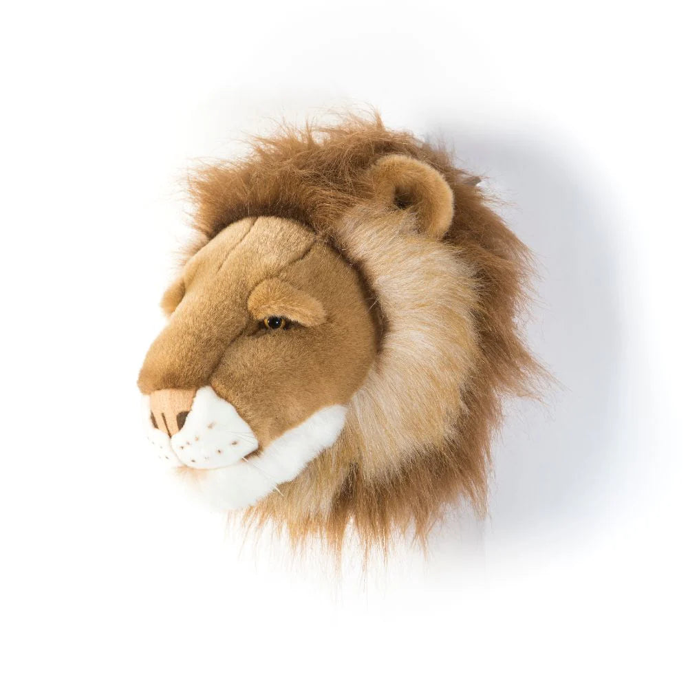 O Leão César – Wild & Soft