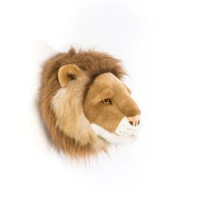 O Leão César – Wild & Soft – imagem 3