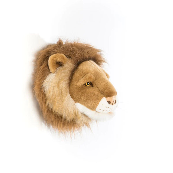 O Leão César – Wild & Soft – imagem 3