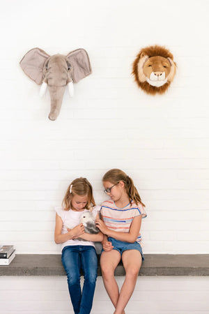 O Leão César – Wild & Soft – imagem 4