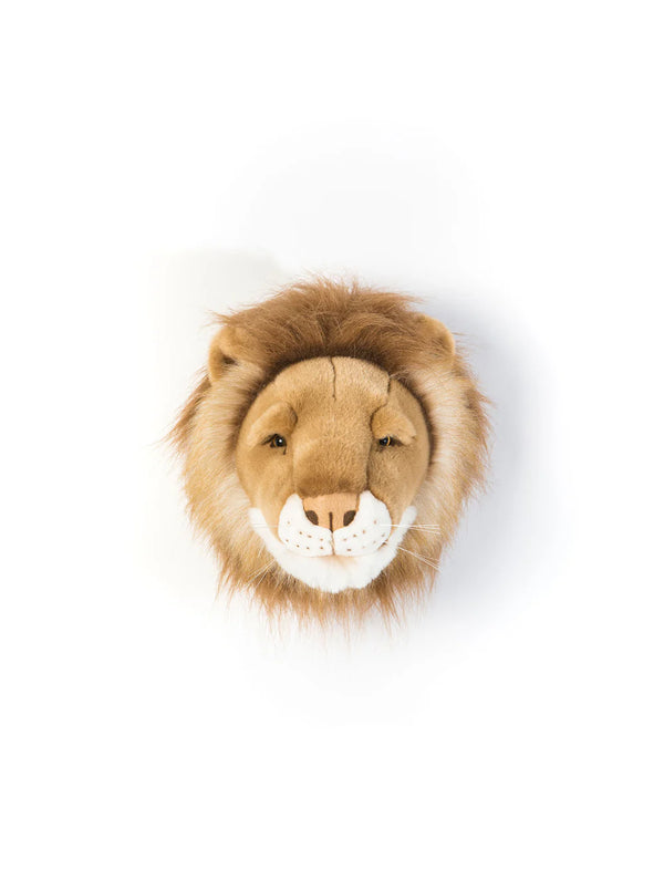 O Leão César – Wild & Soft