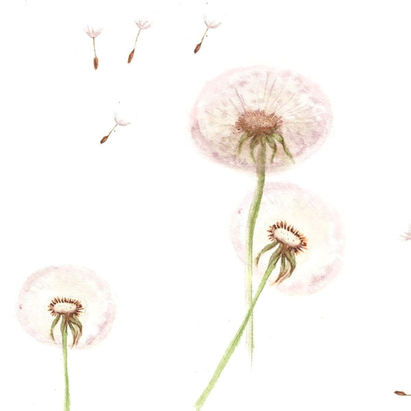Papel de Parede Dandelions – Dekornik – imagem 4