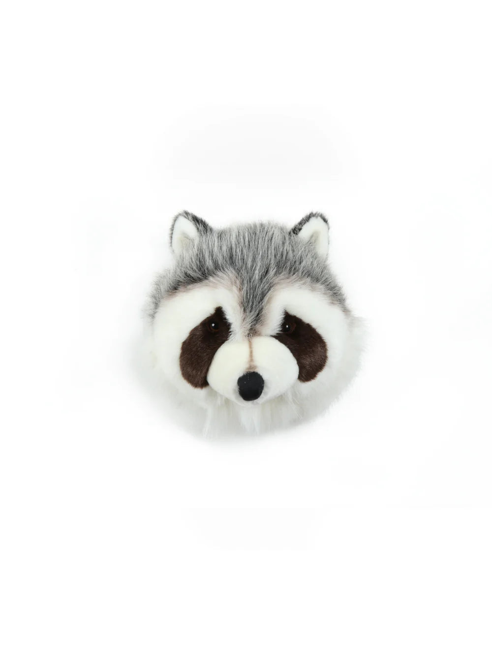 O Guaxinim Josh – Wild & Soft