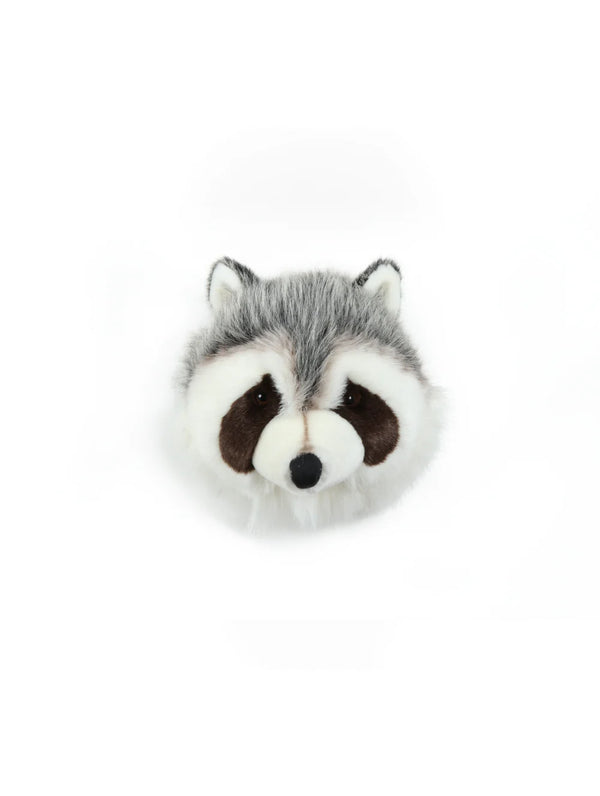 O Guaxinim Josh – Wild & Soft