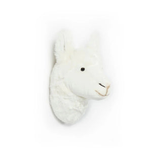A Llama Lily – Wild & Soft – imagem 2