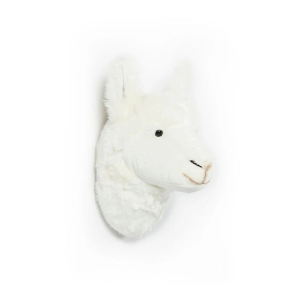 A Llama Lily – Wild & Soft – imagem 2