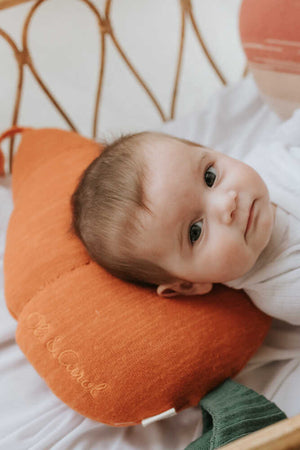 Almofada de malha Cathy the Carrot — Lorena Canals