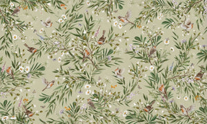 Mural Playful Robins green – Kikki Belle – imagem 1