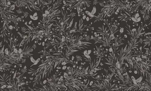Mural Playful Robins Monochrome black – Kikki Belle – imagem 1