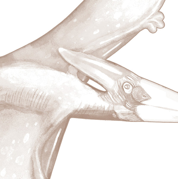 Mural Dinosaurs Sepia – Pastelowe Love – imagem 5