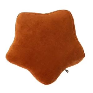 The Cinnamon Star Cushion