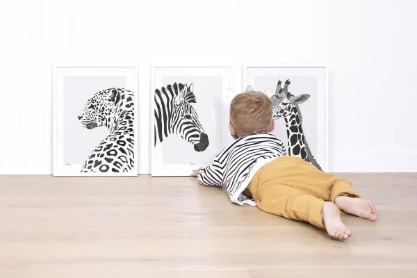 Molduras Zebra, Girafa e Leopardo