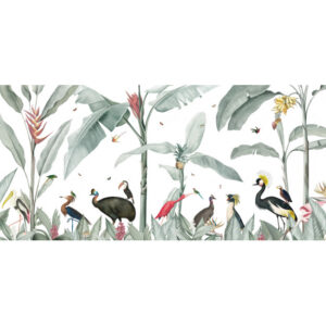Wallpaper Casela Birds